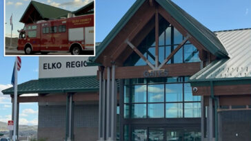 troubled-dad-fatally-shoots-son,-11,-before-turning-gun-on-himself-in-murder-suicide-at-nevada-airport