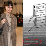 nyc-first-lady-rama-duwaji-apologizes-for-past-‘harmful’-social-media-content-–-without-mentioning-pro-palestinian-terrorists,-anti-israel-posts