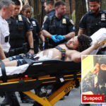 nyc-straphanger-initially-believed-to-have-been-stabbed-on-nyc-train-was-actually-shot:-cops,-sources