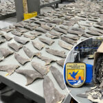 wildlife-officials-intercept-1,600-pounds-of-illegal-shark-fins-in-alaska