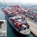 trump-administration-calls-on-other-nations-to-sign-‘trade-over-aid’-declaration-to-‘promote-america-first-values’:-report