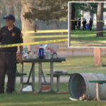 bloods-gang-bbq-on-long-island-erupts-into-deadly-teen-gun-fight,-police-sources-say