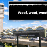 pilots-under-investigation-for-meowing,-barking-on-air-traffic-control-frequency:-‘be-professional’