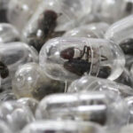 chinese-man-sentenced-to-a-year-in-prison-for-smuggling-thousands-of-live-ants-from-kenya