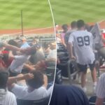massive-brawl-breaks-out-between-fans-during-yankees-angels-game:-‘holy-s–t!’