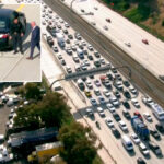 eastbound-105-freeway-reopens-hours-after-man-shot-as-mystery-deepens-around-what-happened