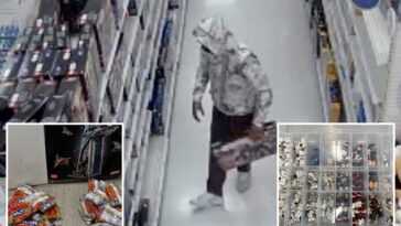 irvine-‘pasta-bandit’-accused-of-swapping-lego-sets-for-noodles-in-$34k-scheme