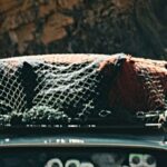 chinese-carmaker-patents-voice-controlled-onboard-toilet