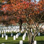 sen-tim-sheehy:-gold-star-families-deserve-justice.-this-$15b-from-iran-is-a-start