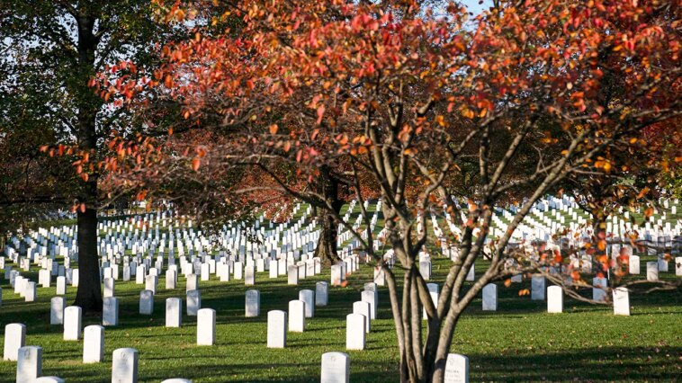 sen-tim-sheehy:-gold-star-families-deserve-justice.-this-$15b-from-iran-is-a-start