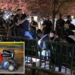 78-year-old-innocent-bystander-dies-yards-from-his-nyc-home-after-being-hit-by-stray-bullet