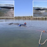 humpback-whale-rescued-after-becoming-stranded-on-australian-beach