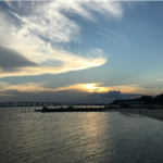 brit-calls-mississippians-‘swamp-dwellers’-—-americans-clap-back-with-hilarious-roasts