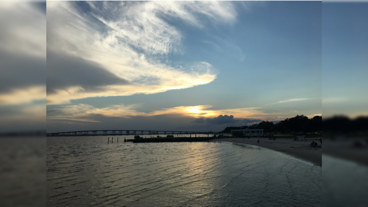 brit-calls-mississippians-‘swamp-dwellers’-—-americans-clap-back-with-hilarious-roasts