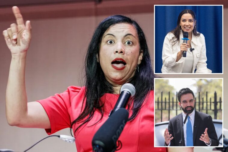 nj’s-new-congresswoman-analilia-mejia-is-a-darling-of-the-left-—-and-comparisons-to-socialist-zohran-mamdani-are-already-flowing