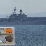 navy-denies-‘poor-quality’-food-on-warships-deployed-to-middle-east-after-viral-photos-of-‘rationed-slop’