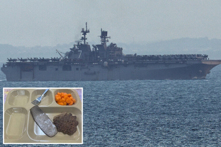 navy-denies-‘poor-quality’-food-on-warships-deployed-to-middle-east-after-viral-photos-of-‘rationed-slop’