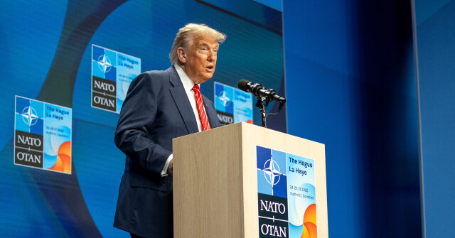 uk.-ambassador-on-trump-nato-criticism:-we’re-leaning-in-to-what-he-wants-on-strait