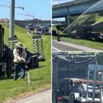 1-million-bees-swarm-highway-after-crash-shuts-down-interstate-ramp-for-hours