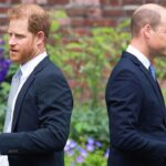 prince-william’s-‘ruthless-side’-emerges-as-he-views-prince-harry-as-‘untrustworthy’:-experts