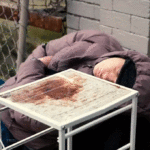 will-socialism-save-seattle?-city-advocates-struggle-to-find-solutions-as-homeless,-drug-addicts-flood-streets