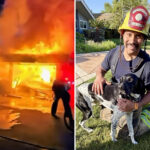 ‘hero-hound’-sounds-alarm,-saves-family-from-devastating-inferno