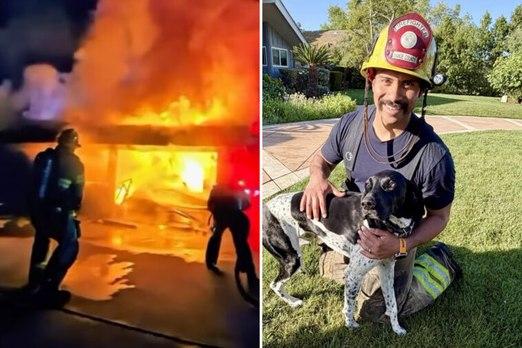 ‘hero-hound’-sounds-alarm,-saves-family-from-devastating-inferno
