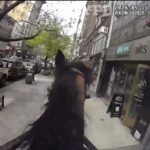 insane-bodycam-footage-shows-nypd-police-horse-chasing-down-lowlife-purse-snatcher-(video)