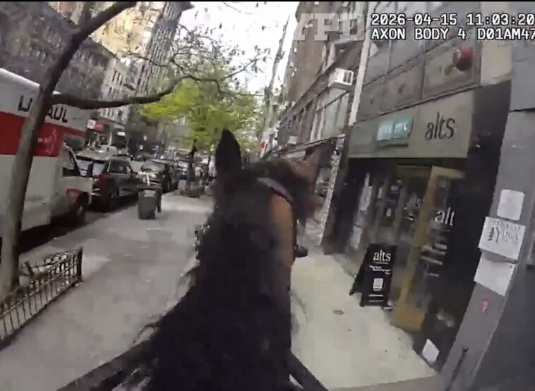 insane-bodycam-footage-shows-nypd-police-horse-chasing-down-lowlife-purse-snatcher-(video)