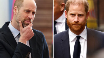 prince-william’s-‘ruthless-streak’-keeps-estranged-brother-harry-frozen-out:-experts`