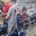 yankee-stadium-brawl-only-gets-more-wild-as-new-footage-of-fan-being-stomped-emerges