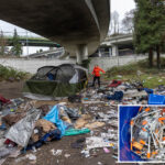 fentanyl-foil-litters-seattle-playgrounds-‘like-autumn-leaves’-—-as-nonprofit-‘fueling-this-problem’