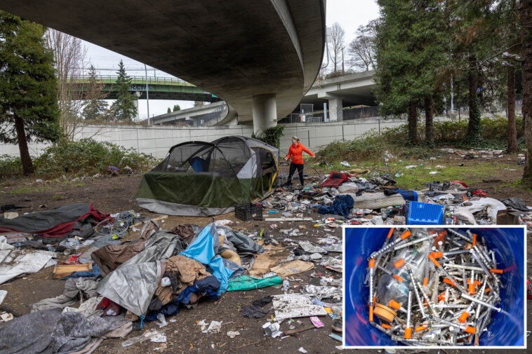 fentanyl-foil-litters-seattle-playgrounds-‘like-autumn-leaves’-—-as-nonprofit-‘fueling-this-problem’