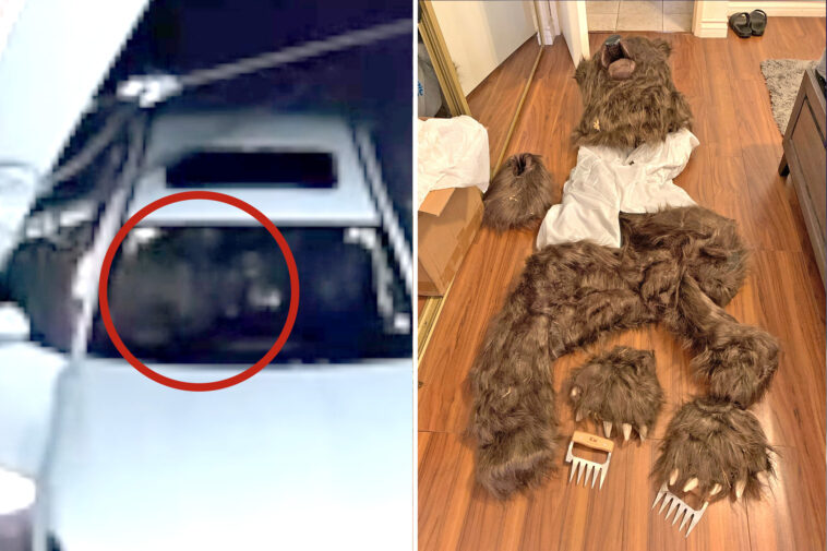 3-socal-fraudsters-learn-fate-in-bizarre-bear-attack-costume-scam