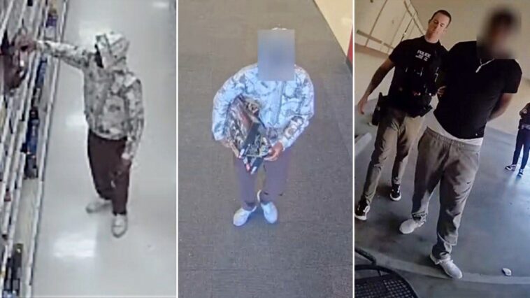 ‘lego-bandit’-accused-in-bizarre-$34k-scheme-replacing-minifigures-with-pasta