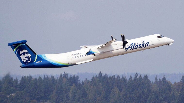 airline-worker-stole-plane,-performed-barrel-roll-before-deadly-crash:-inside-final-moments