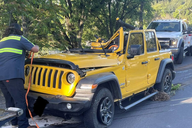 california-woman-escapes-death-twice-after-falling-asleep-behind-the-wheel