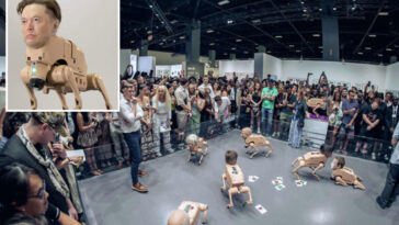 terrifying-mutant-dog-bots-with-elon-musk-and-zuckerberg-heads-descend-on-silicon-valley