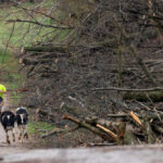 video:-20-tornadoes-confirmed-as-50-million-hit-by-severe-weather-across-midwest