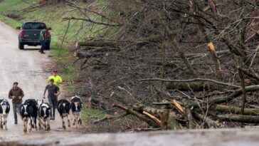 video:-20-tornadoes-confirmed-as-50-million-hit-by-severe-weather-across-midwest