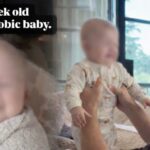 gay-dads-react-to-backlash-from-their-‘homophobic-baby’-video