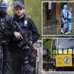 london-synagogue-targeted-in-suspected-arson-attack:-report