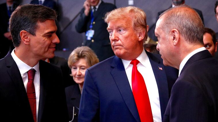 trump-criticizes-spain-amid-iran,-nato-rift-as-pm-sanchez-faces-questions-over-political-motives