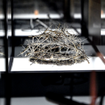 new-book-on-archaeological-evidence-for-jesus-rockets-to-top-of-bestseller-list