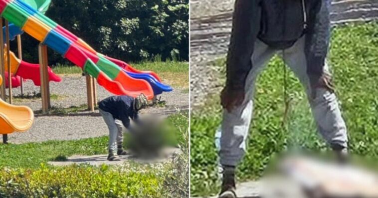 outrage-in-italy:-nigerian-migrant-arrested-after-killing-and-cooking-cat-on-makeshift-bbq-next-to-children’s-playground