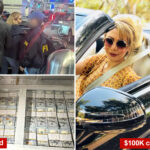 glam-iranian-businesswoman-busted-at-lax,-charged-with-helping-regime-buy-drones,-bombs-and-ammo