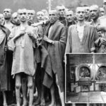 survey-shows-shocking-number-of-long-islanders-believe-jews-need-to-just-‘move-on’-from-‘exaggerated’-holocaust