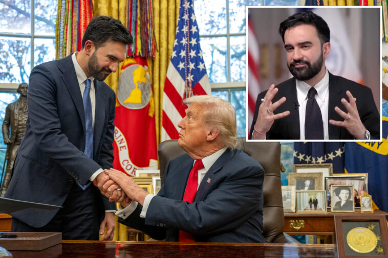 zohran-mamdani-goes-scorched-earth-on-dems’-lack-of-‘vision,’-but-praises-‘productive’-bromance-with-trump