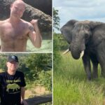 safari-park-owner-who-once-said-he’d-rather-be-killed-by-an-elephant-than-shoot-one-is-fatally-tramped-–by-an-elephant