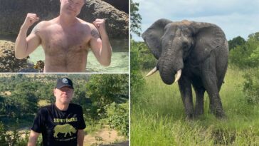 safari-park-owner-who-once-said-he’d-rather-be-killed-by-an-elephant-than-shoot-one-is-fatally-tramped-–by-an-elephant